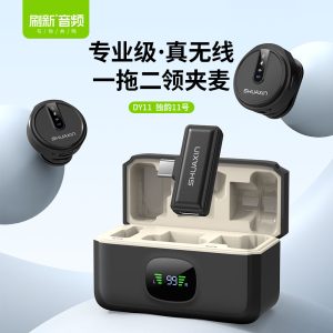 DY11·1拖2无线领夹式麦克风 （Type-c款）  【独韵11】